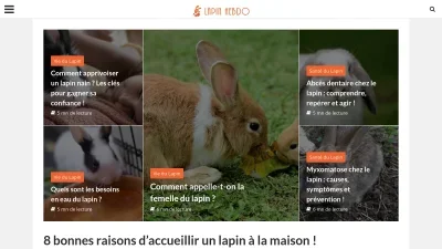 Lapin-hebdo.com