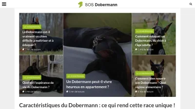 Sosdobermann.com