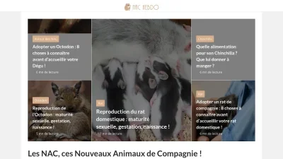 NAC Hebdo
