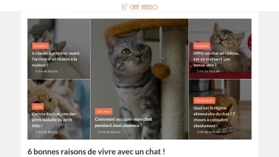 Chat-hebdo.com