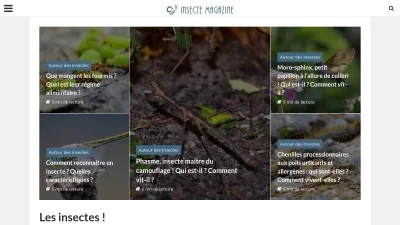 Insecte Magazine