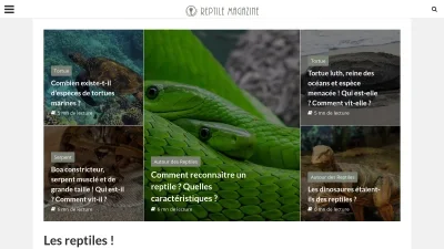 Reptile Magazine