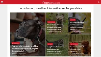 Home-molosse.fr 
