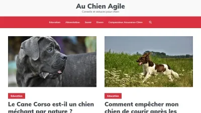 Au-chien-agile.fr