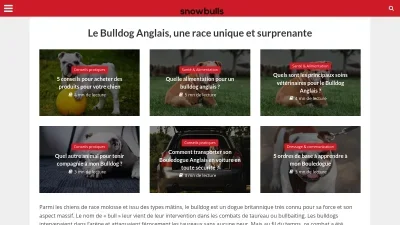 Snowbulls.fr