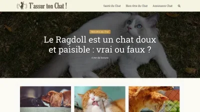 Tassurtonchat.com