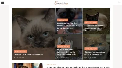 Sosweetcats.com