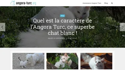 Angora-turc.org