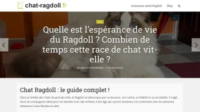 Chat-ragdoll.fr 